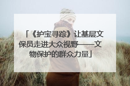 《护宝寻踪》让基层文保员走进大众视野——文物保护的群众力量