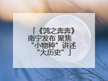 《鹑之奔奔》南宁发布 聚焦“小物种”讲述“大历史”