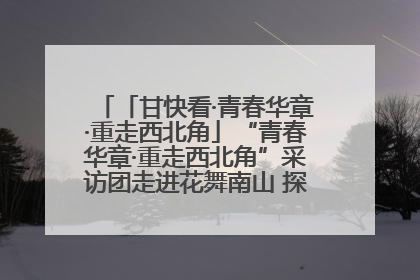 「甘快看·青春华章·重走西北角」“青春华章·重走西北角”采访团走进花舞南山 探寻天水乡村振兴之路
