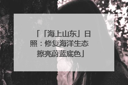 「海上山东」日照：修复海洋生态 擦亮蔚蓝底色