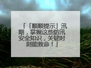 「顺顺提示」汛期，掌握这些防汛安全知识，关键时刻能救命！
