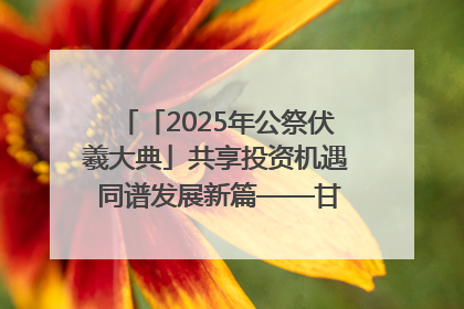 「2025年公祭伏羲大典」共享投资机遇 同谱发展新篇——甘肃省文旅产业链招商引资推介会侧记