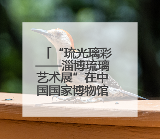 “琉光璃彩——淄博琉璃艺术展”在中国国家博物馆开幕