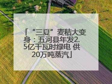 “三夏”麦秸大变身：五河县年发2.5亿千瓦时绿电 供20万吨蒸汽