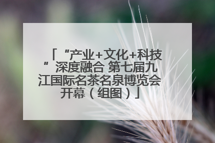 “产业+文化+科技”深度融合 第七届九江国际名茶名泉博览会开幕（组图）