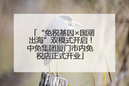 “免税基因×国潮出海”双模式开启！中免集团厦门市内免税店正式开业