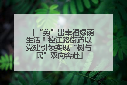 “剪”出幸福绿荫生活！控江路街道以党建引领实现“树与民”双向奔赴