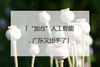 “加仓”人工智能，广东又出手了