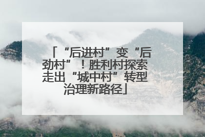 “后进村”变“后劲村”！胜利村探索走出“城中村”转型治理新路径