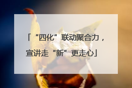 “四化”联动聚合力，宣讲走“新”更走心