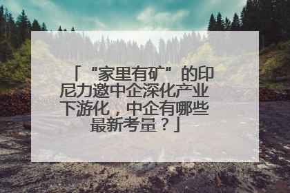 “家里有矿”的印尼力邀中企深化产业下游化，中企有哪些最新考量？