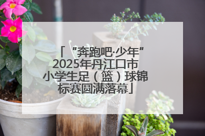 “奔跑吧·少年”2025年丹江口市小学生足（篮）球锦标赛圆满落幕