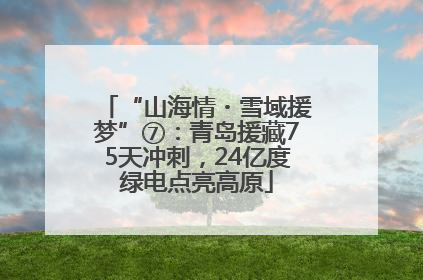 “山海情・雪域援梦”⑦：青岛援藏75天冲刺，24亿度绿电点亮高原