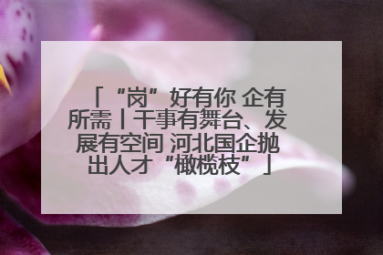 “岗”好有你 企有所需丨干事有舞台、发展有空间 河北国企抛出人才“橄榄枝”