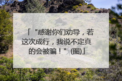 “感谢你们劝导，若这次成行，我说不定真的会被骗！”(图)