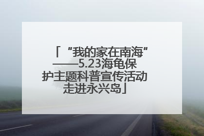 “我的家在南海”——5.23海龟保护主题科普宣传活动走进永兴岛