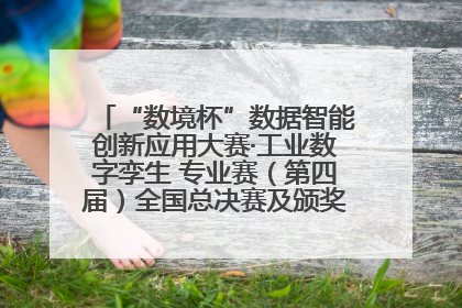 “数境杯”数据智能创新应用大赛·工业数字孪生 专业赛(第四届)全国总决赛及颁奖典礼成功举办