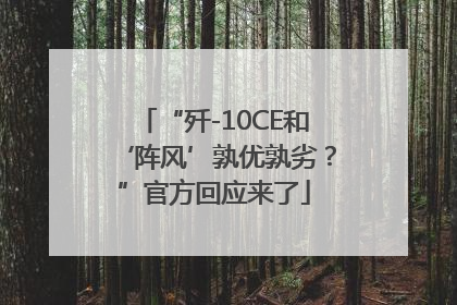 “歼-10CE和‘阵风’孰优孰劣？”官方回应来了
