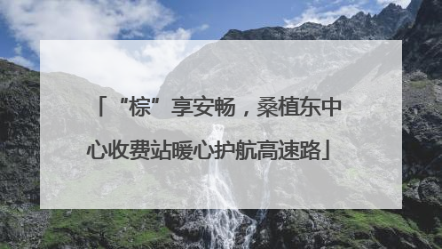 “棕”享安畅，桑植东中心收费站暖心护航高速路