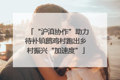 “沪滇协作”助力待补镇鹧鸡村跑出乡村振兴“加速度”