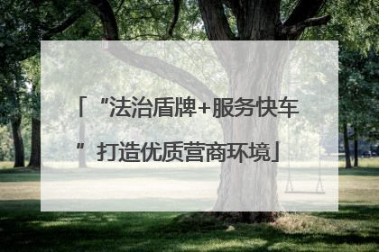 “法治盾牌+服务快车”打造优质营商环境