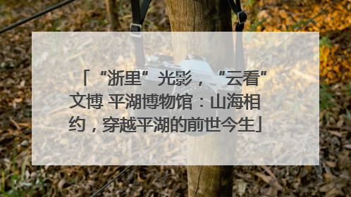 “浙里”光影，“云看”文博 平湖博物馆：山海相约，穿越平湖的前世今生