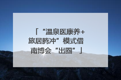 “温泉医康养+旅居腾冲”模式借南博会“出圈”