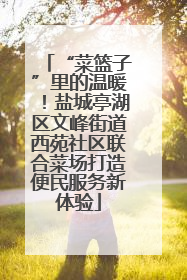 “菜篮子”里的温暖！盐城亭湖区文峰街道西苑社区联合菜场打造便民服务新体验
