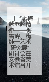 “老梅越老越精神——梅雪峰、梅纯一艺术研究展”研讨会在安徽省美术馆召开