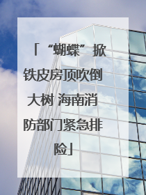 “蝴蝶”掀铁皮房顶吹倒大树 海南消防部门紧急排险