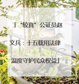 “较真”公证员赵文兵：十五载用法律温度守护民众权益