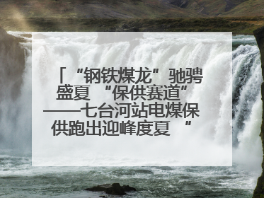 “钢铁煤龙”驰骋盛夏 “保供赛道”——七台河站电煤保供跑出迎峰度夏 “加速度”