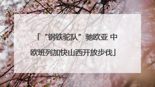 “钢铁驼队”驰欧亚 中欧班列加快山西开放步伐