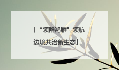 “领群鸿雁”领航边境共治新生态