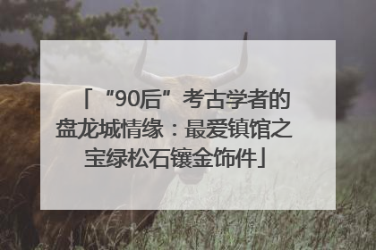 “90后”考古学者的盘龙城情缘：最爱镇馆之宝绿松石镶金饰件