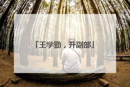 王学勤，升副部