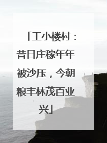王小楼村：昔日庄稼年年被沙压，今朝粮丰林茂百业兴