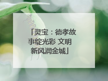 灵宝：德孝故事绽光彩 文明新风润金城