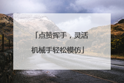 点赞挥手，灵活机械手轻松模仿