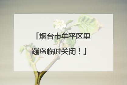烟台市牟平区里蹦岛临时关闭！