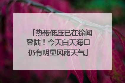 热带低压已在徐闻登陆！今天白天海口仍有明显风雨天气