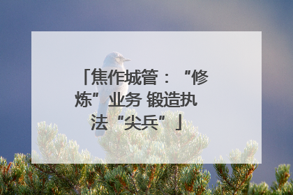 焦作城管：“修炼”业务 锻造执法“尖兵”