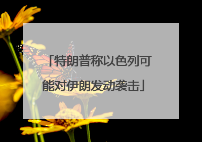 特朗普称以色列可能对伊朗发动袭击