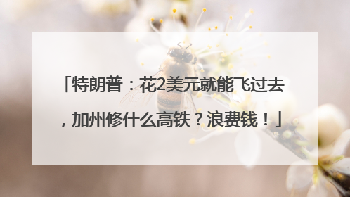 特朗普：花2美元就能飞过去，加州修什么高铁？浪费钱！