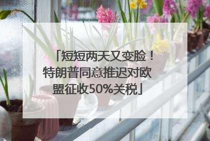 短短两天又变脸！特朗普同意推迟对欧盟征收50%关税