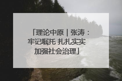 理论中原｜张涛：牢记嘱托 扎扎实实加强社会治理