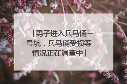 男子进入兵马俑三号坑，兵马俑受损等情况正在调查中