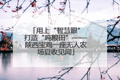 用上“智慧眼” 打造“吨粮田”——陕西宝鸡一座无人农场夏收见闻
