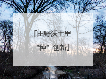 田野沃土里“种”创新