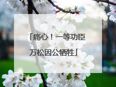 痛心！一等功臣万松因公牺牲